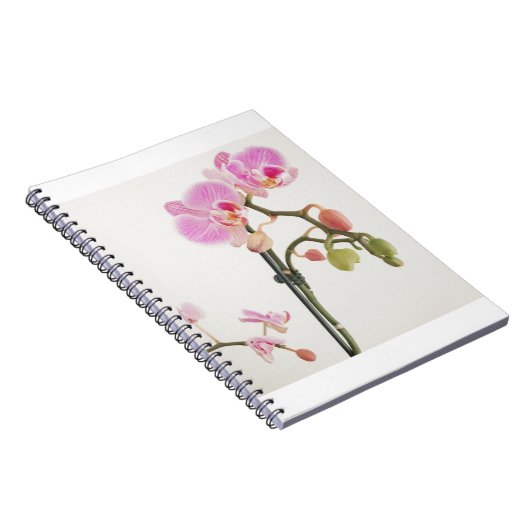 Carnet Orchidée (Côté Droit)