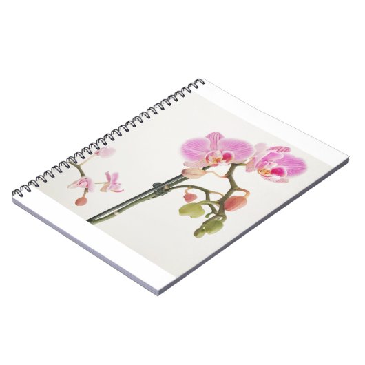 Carnet Orchidée (Côté gauche)