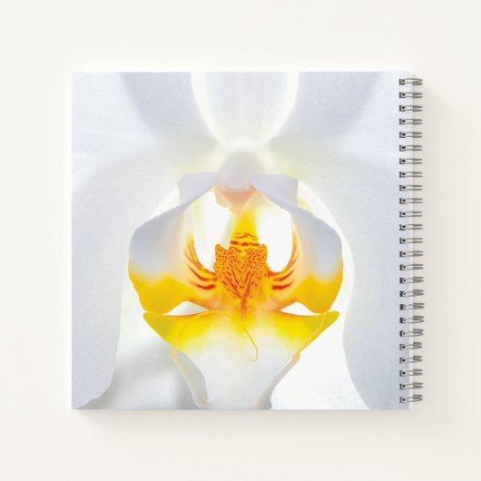 Carnet Orchidée blanche (Dos)