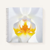Carnet Orchidée blanche (Devant)