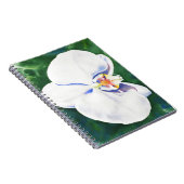 Carnet Orchidée blanche (Côté Droit)