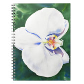 Carnet Orchidée blanche (Devant)