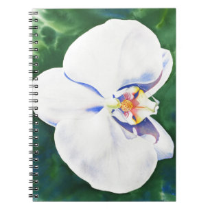 Carnet Orchidée blanche