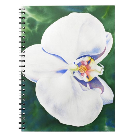Carnet Orchidée blanche (Devant)