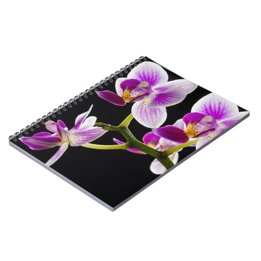 Carnet Orchidée blanche et violette (Côté gauche)