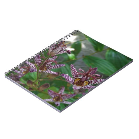 Carnet Orchidée blanche rayée violette rose comme lys de (Côté gauche)