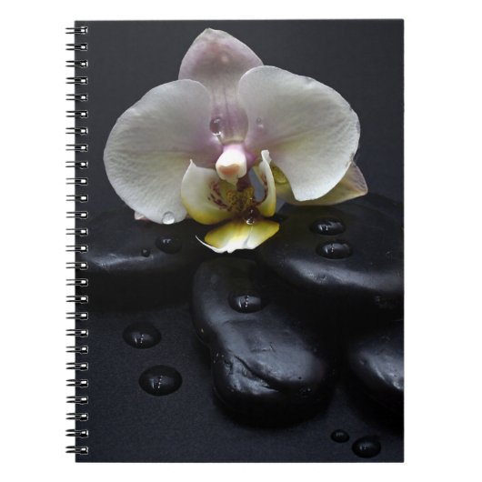 Carnet Orchidée Blanche Sur Pierres Noires (Devant)