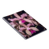 Carnet Orchidée (Cattleya amethystoglossa), est (Côté Droit)