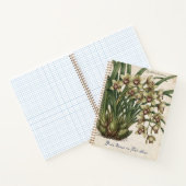 Carnet orchidée Cymbidium lowianum (Intérieur)
