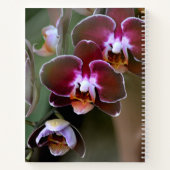 Carnet Orchidée de Maroon pourpre fleurit Botanique Flora (Dos)