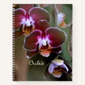 Carnet Orchidée de Maroon pourpre fleurit Botanique Flora (Devant)