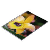 Carnet Orchidée du coucher de soleil (Côté gauche)