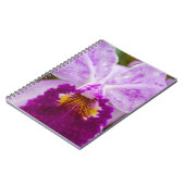 Carnet Orchidée mauve de passion (Côté gauche)
