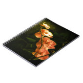 Carnet Orchidée orange (Côté gauche)