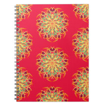 Orchidée Paradise Bird