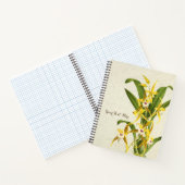 Carnet Orchidée Rhynchostele cordata (Intérieur)