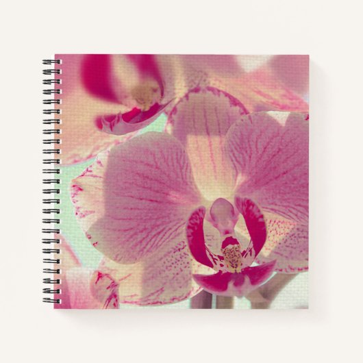Carnet Orchidée rose (Devant)