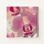 Carnet Orchidée rose (Dos)