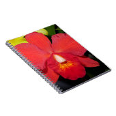 Carnet Orchidée rouge exotique (Côté Droit)