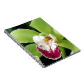 Carnet Orchidée verte (Côté Droit)