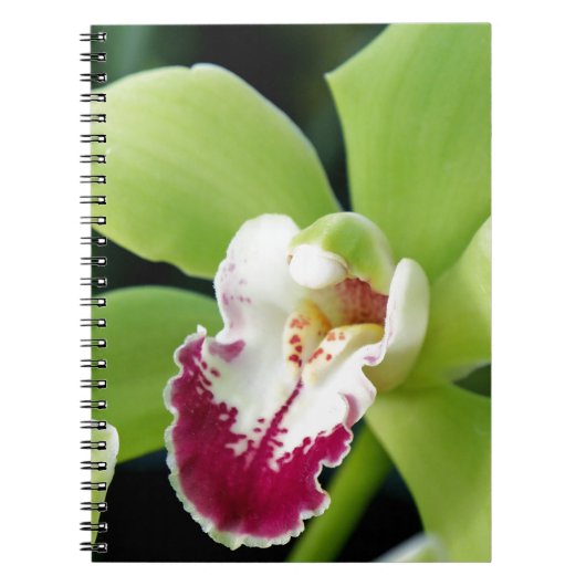 Carnet Orchidée verte (Devant)