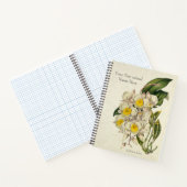 Carnet Orchidée vintage Dendrobium fereri (Intérieur)