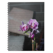 Carnet Orchidée violette (Devant)