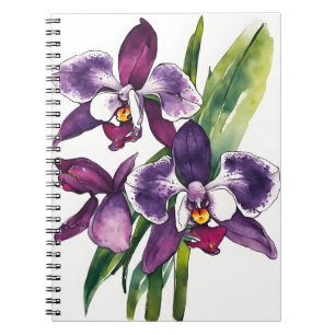 Carnet Orchidée Zygopetalum - Fleurs aquarelle