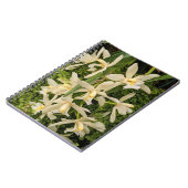 Carnet Orchidées blanches et fleurs de fougères (Côté gauche)