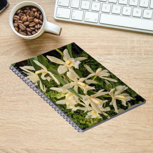 Carnet Orchidées blanches et fleurs de fougères