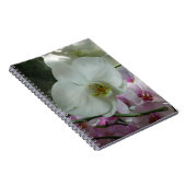 Carnet Orchidées blanches et violettes (Côté Droit)
