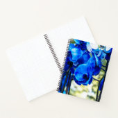 Carnet Orchidées bleues (Intérieur)