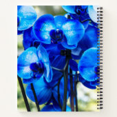 Carnet Orchidées bleues (Dos)