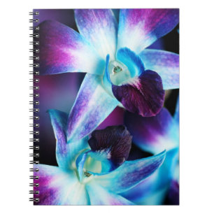 Carnet Orchidées customisées par orchidée pourpre de