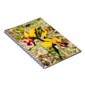 Carnet Orchidées d'ânes (Côté Droit)