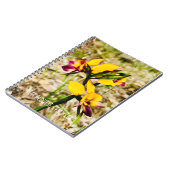 Carnet Orchidées d'ânes (Côté gauche)