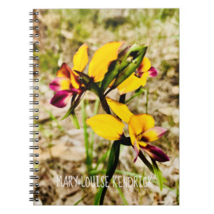 Carnet Orchidées d'ânes