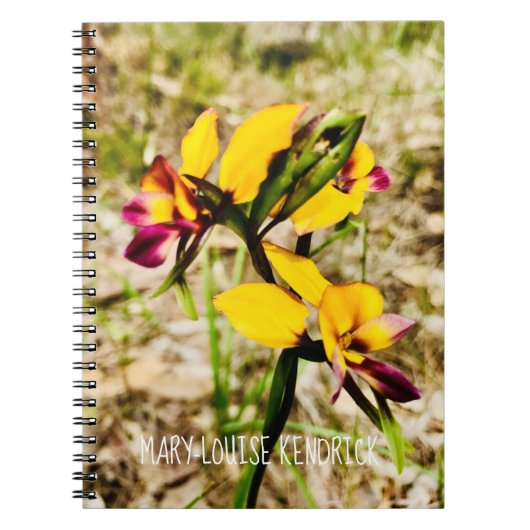 Carnet Orchidées d'ânes (Devant)
