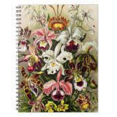Carnet Orchidées, Orchidée Denusblumen Ernst Haeckel (Devant)