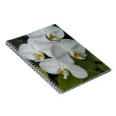Carnet Orchidées Phalaenopsis Blanche Floral (Côté Droit)