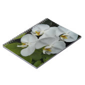 Carnet Orchidées Phalaenopsis Blanches Florales (Côté gauche)