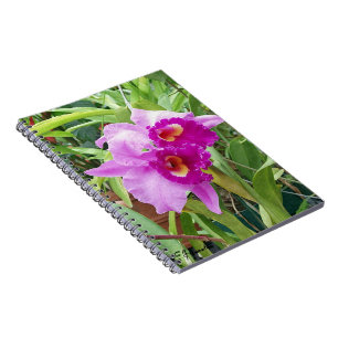 Carnet Orchidées pourpres de Cattleya