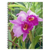 Carnet Orchidées pourpres de Cattleya (Devant)