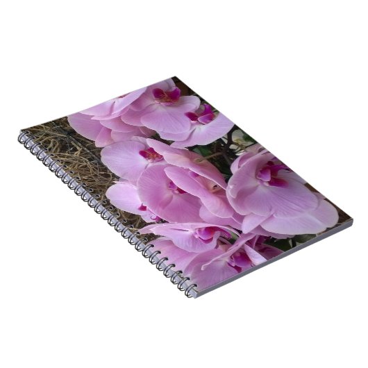 Carnet Orchids (Côté Droit)