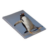 Carnet Ordinateur Gentoo à pagaie (Côté Droit)