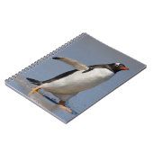 Carnet Ordinateur Gentoo à pagaie (Côté gauche)