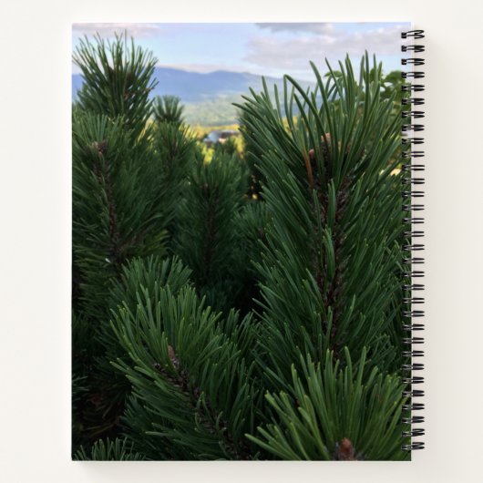 Carnet Ordinateur portable (Dos)