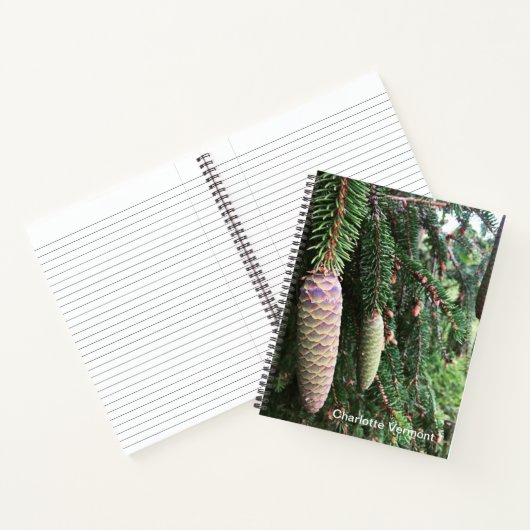 Carnet Ordinateur portable (Intérieur)