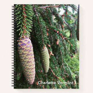 Carnet Ordinateur portable