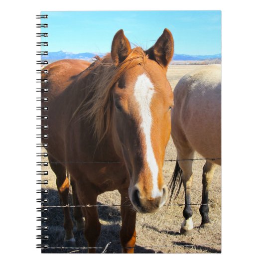 Carnet Ordinateur portable à cheval (Devant)